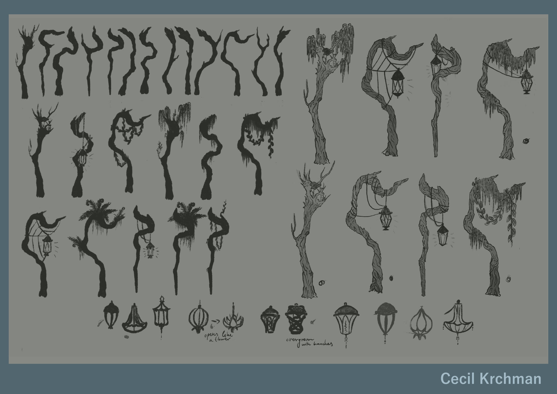 Granny Fern staff ideation